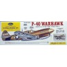 P-40 WARHAWK