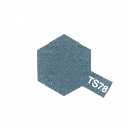 PEINTURE TS-78 GRIS CAMPAGNE MAT