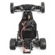 1/16 LOSI JRX2 2WD BUGGY RTR ROSE