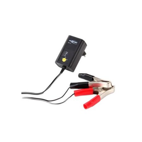 CHARGEUR 2-12V PLOMB