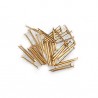 CLOUS 10 MM x 200
