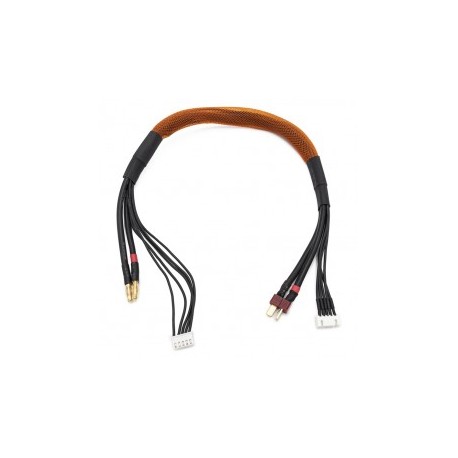 CABLE DE CHARGE ACCUS 2S