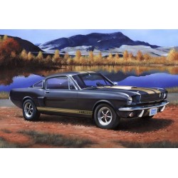 MUSTANG SHELBY GT 350 H