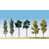 ARBRES ASSORTIS 6 PCS