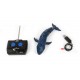 FUN2DIVE BALEINE