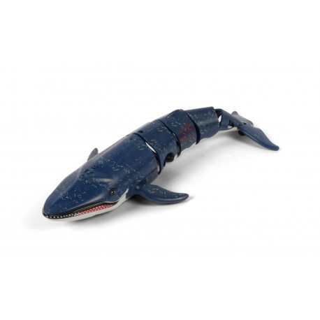 FUN2DIVE BALEINE