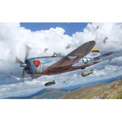 P-47D THUNDERBOLT