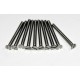 VIS TF INOX M2X10MM        