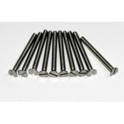 VIS TF INOX M2X10MM        