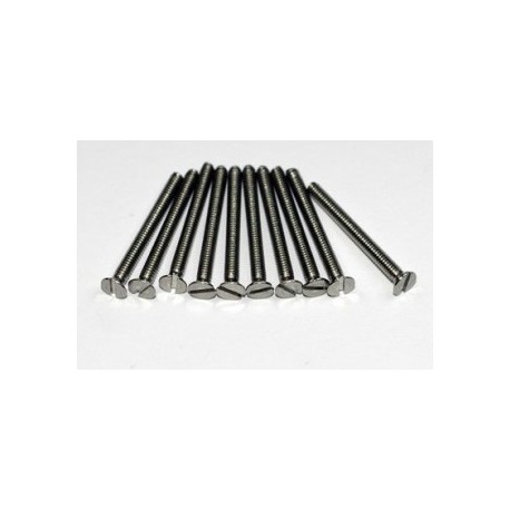 VIS TF INOX M2X10MM        