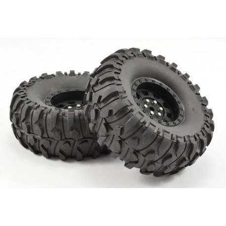 FASTRAX CRAWLER BOXER 