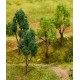 ARBRES ASSORTIS 4 PCS