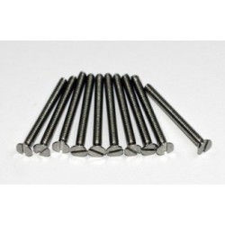 VIS TF INOX M2.5X10MM