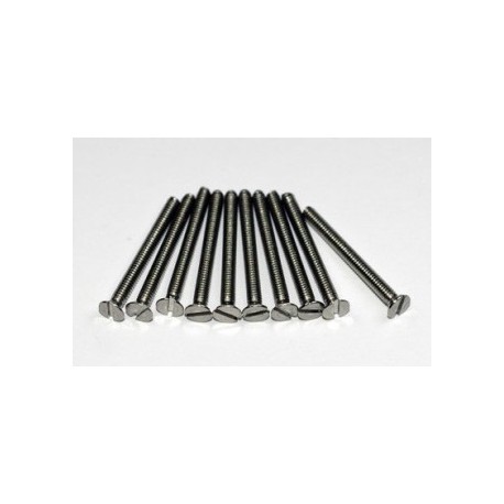 VIS TF INOX M2.5X10MM