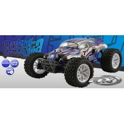 FTX BUGSTA 1/10 4X4 RTR