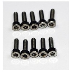 VIS BTR TC INOX M2.5X12MM