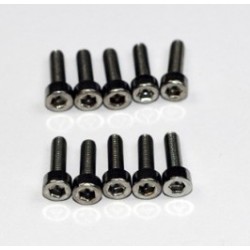 VIS BTR TC INOX M2X16MM