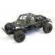 ZORRO FTX 1/10 NITRO TRUCK BLEU