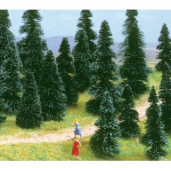 SAPINS A PLANTER ASSORTIS