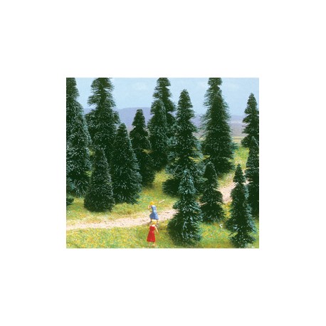 SAPINS A PLANTER ASSORTIS