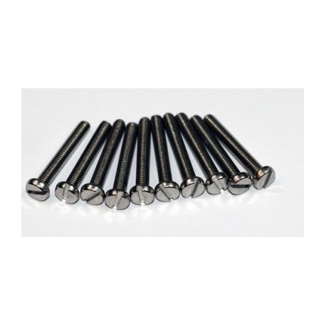 VIS TC INOX M2X10MM