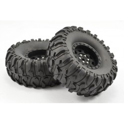 FASTRAX CRAWLER BOXER 