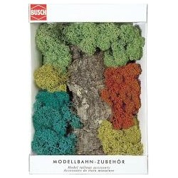 ROCHER ET BUISSONS LICHEN