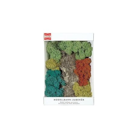 ROCHER ET BUISSONS LICHEN
