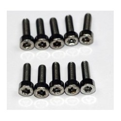 VIS BTR TC INOX M2.5X20MM