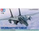 GRUMMAN F-14D TOMCAT