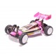 SCHUMACHER COUGAR 2 WORKS