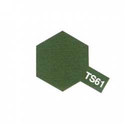 PEINTURE TS61 VERT OTAN MAT