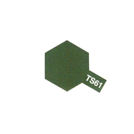 PEINTURE TS61 VERT OTAN MAT