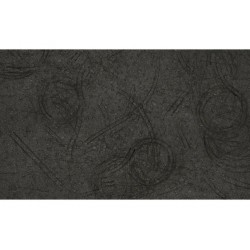 TAPIS POUR LES NANO TTR HPI