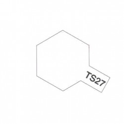 PEINTURE TS-27 BLANC MAT