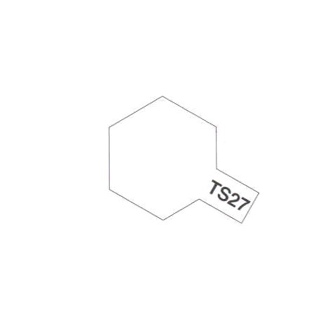 PEINTURE TS-27 BLANC MAT