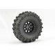 FASTRAX CRAWLER BOXER 