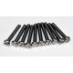VIS TC INOX M2X16MM