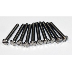 VIS TC INOX M2.5X20MM        