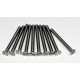 VIS TF INOX M2X20MM