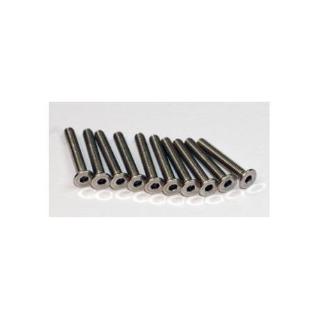 VIS BTR TF INOX M3X10MM 