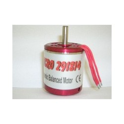 Moteur Typhoon Micro 291814 
