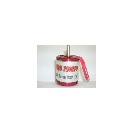 Moteur Typhoon Micro 291814 