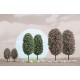 ARBRES FEUILLUS 100MM