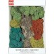 ROCHER ET BUISSONS LICHEN