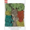 ROCHER ET BUISSONS LICHEN