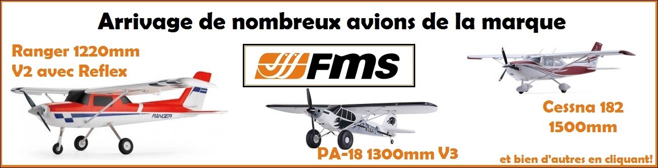 Arrivage d'avions RC de la marque FMS